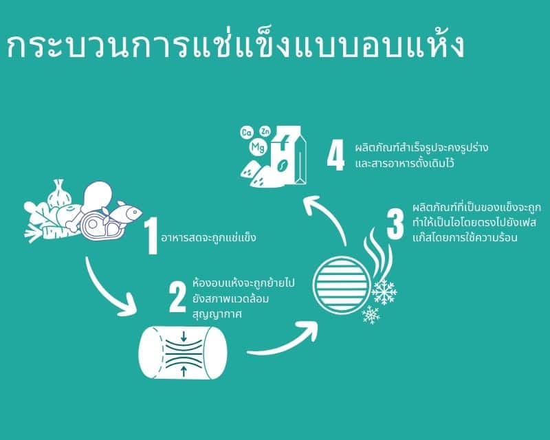 กระบวนการทำแห้งแบบแช่แข็ง